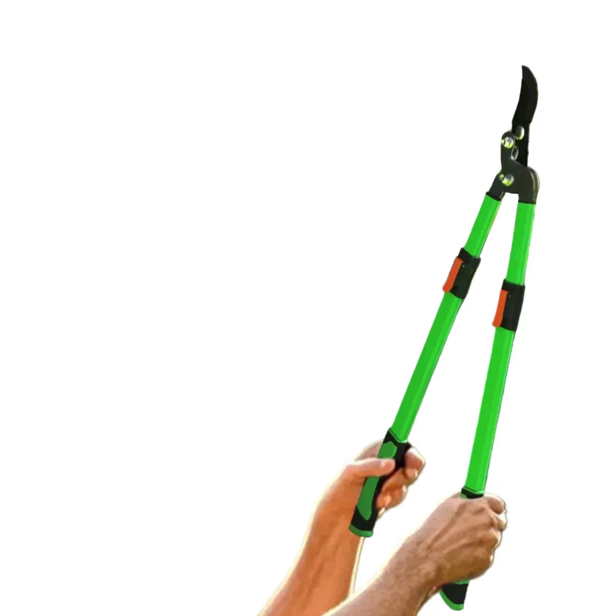 Set da Giardino 2 Pezzi con Cesoie per Siepi e Troncarami Telescopico