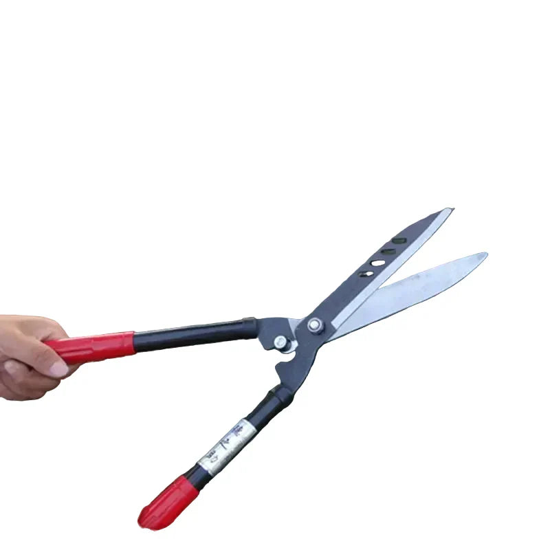 Set Cesoie da Giardino in Acciaio Inossidabile con Manici Lunghi