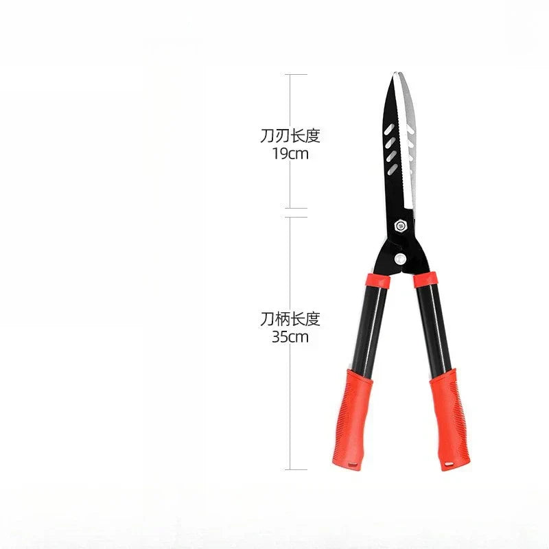 Set Cesoie da Giardino in Acciaio Inossidabile con Manici Lunghi