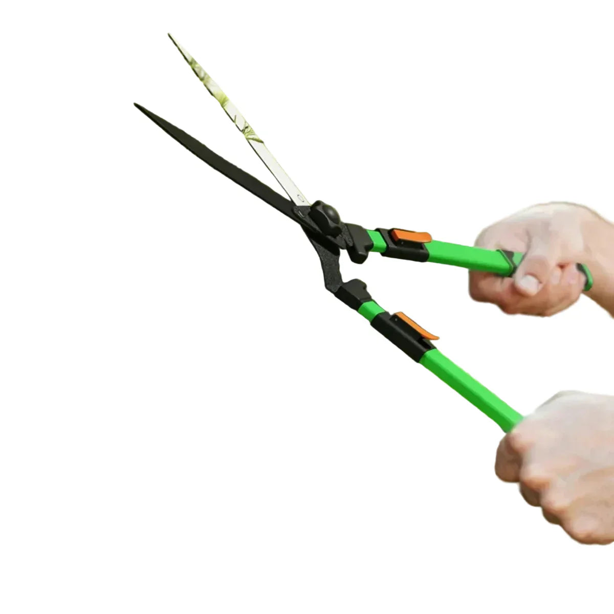 Set da Giardino 2 Pezzi con Cesoie per Siepi e Troncarami Telescopico
